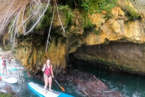 Fra Nerja: Guidet paddle surf ved klipperne og Maro-vandfaldet