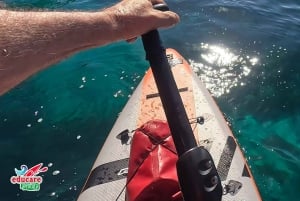Fra Nerja: Guidet paddle surf ved klipperne og Maro-vandfaldet
