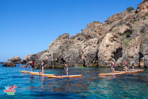 Desde Nerja: Paddle surf guiado por los acantilados y la cascada de Maro
