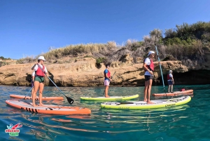 Desde Nerja: Paddle surf guiado por los acantilados y la cascada de Maro