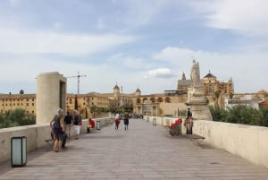 From Seville: Cordoba Full-Day Private Tour