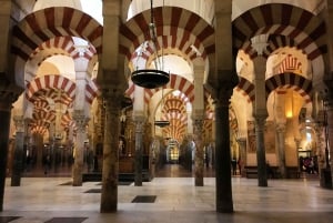 From Seville: Cordoba Full-Day Private Tour