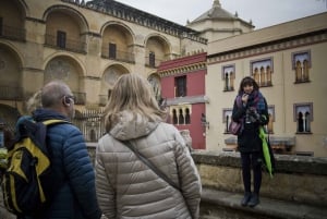 From Seville: Cordoba Full-Day Private Tour