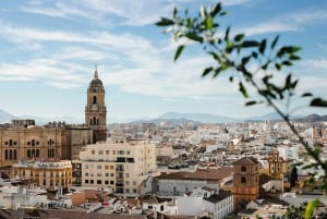 From Seville: Malaga Private Day Trip with Guide