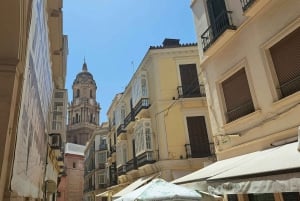 From Seville: Malaga Private Day Trip with Guide