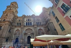 From Seville: Malaga Private Day Trip with Guide