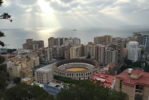 Sevillasta: Sevilla: Malaga Yksityinen päiväretki oppaan kanssa