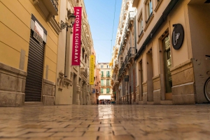 Von Sevilla aus: Malaga Private Tour mit Alcazaba-Eintrittskarte