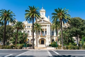 Von Sevilla aus: Malaga Private Tour mit Alcazaba-Eintrittskarte