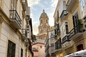 From Seville: Private excursion to Malaga with entrance fees to monuments