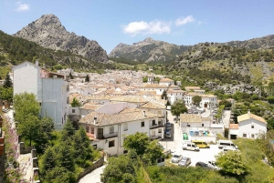 Fra Sevilla: Tur til de hvide landsbyer og Ronda