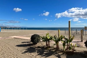 Fuengirola: Pyöräretki: Premium City Guided Bike Tour