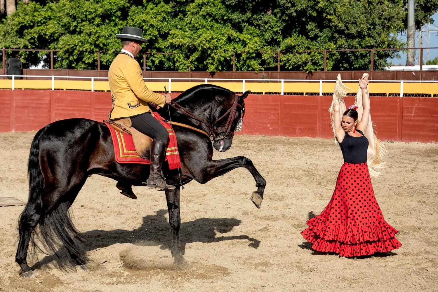 Fuengirola: Spanische Pferdeshow, Abendessen und/oder Flamenco-Show