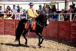 Fuengirola: Spansk Horse Show, Middag og/eller Flamenco Show