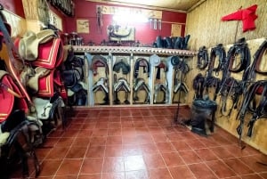 Fuengirola: Spaanse paardenshow, diner en/of flamencoshow
