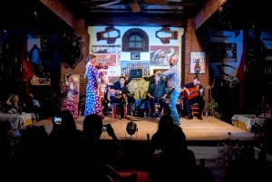 Fuengirola: Espectáculo de Caballos Españoles, Cena y/o Espectáculo Flamenco