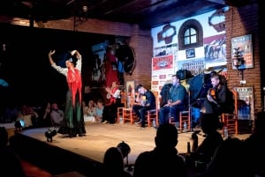 Fuengirola : Spectacle de chevaux espagnols, dîner et/ou spectacle de flamenco