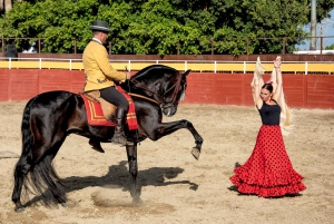 Fuengirola: Spanish Horse Show with Dinner & Flamenco Show