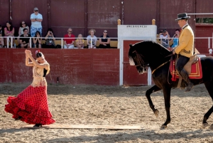 Fuengirola: Spanish Horse Show with Dinner & Flamenco Show