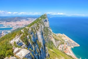 Heldagstur til Gibraltar med shopping fra Costa del Sol