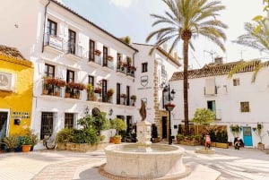 Ein-Tages-Tour durch Marbella, Mijas, Puerto Banus und Benalmadena