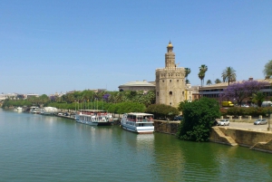 Ganztägige Tour durch Sevilla von der Costa del Sol aus