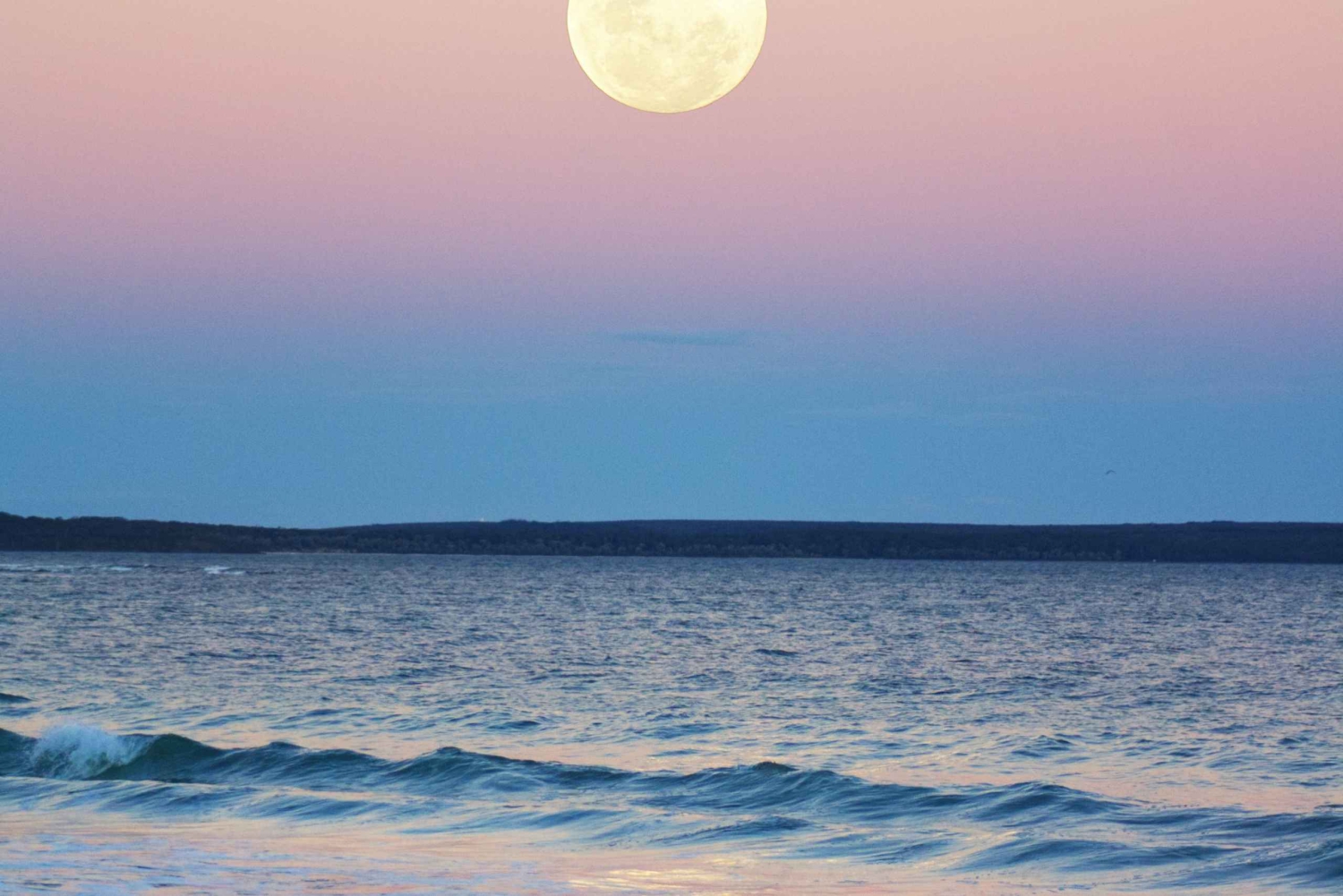 Full Moon Magic – 2h Night Sailing in Sotogrande