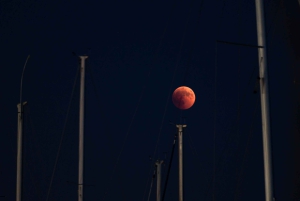 Full Moon Magic – 2h Night Sailing in Sotogrande