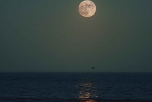 Full Moon Magic – 2h Night Sailing in Sotogrande