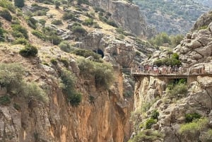 Caminito del Rey: visita completa do Caminito del Rey com guia em português