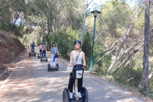 Full Tour of the City of Malaga by Segway