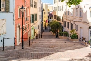 Excursion d'une journée à Gibraltar et Puerto Banús depuis Malaga