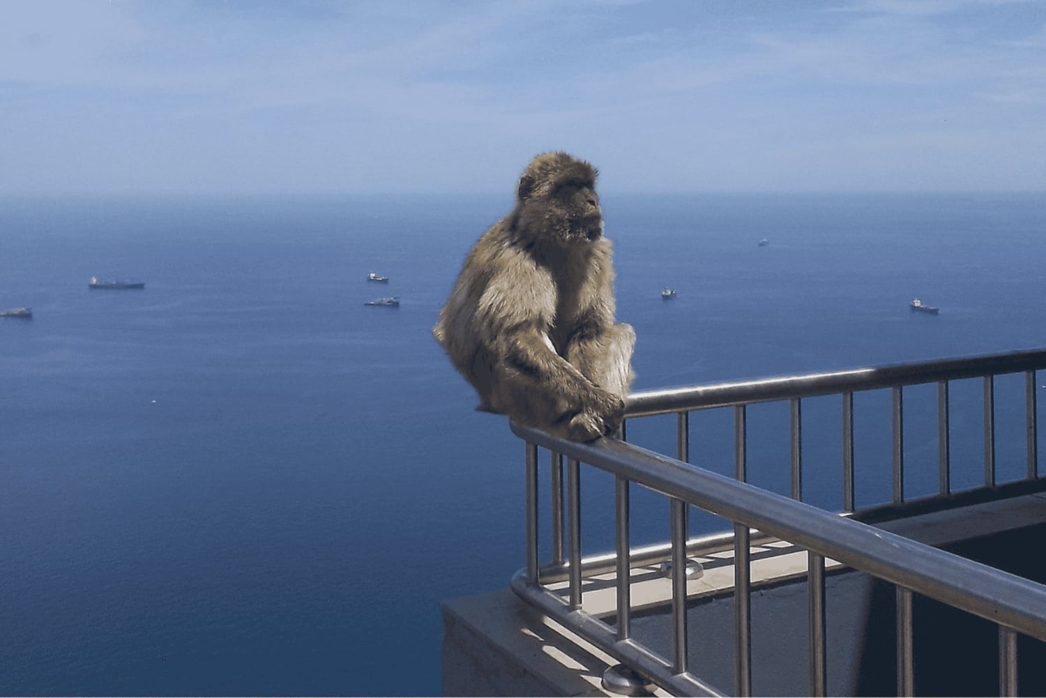 Shopping in Gibraltar: Von Málaga und der Costa del Sol