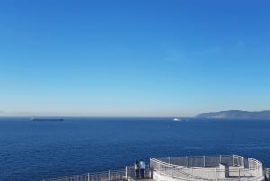 Gibraltar: Tour guiado desde la Costa Del Sol