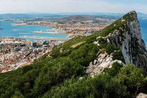 Gibraltar: Tour guiado desde la Costa Del Sol