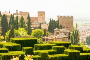 Granada: Alhambra Guided Tour and Arabian Bath and Massage