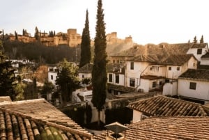 Granada in voller Pracht: Altstadt, Albaicín und Sacromonte