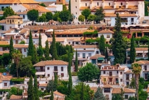 Granada in voller Pracht: Altstadt, Albaicín und Sacromonte