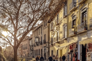 Granada in full: Historic Centre, Albaicín & Sacromonte