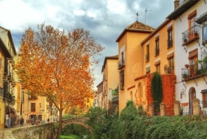 Granada in full: Historic Centre, Albaicín & Sacromonte