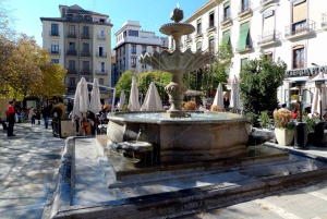Granada: Walking Tour