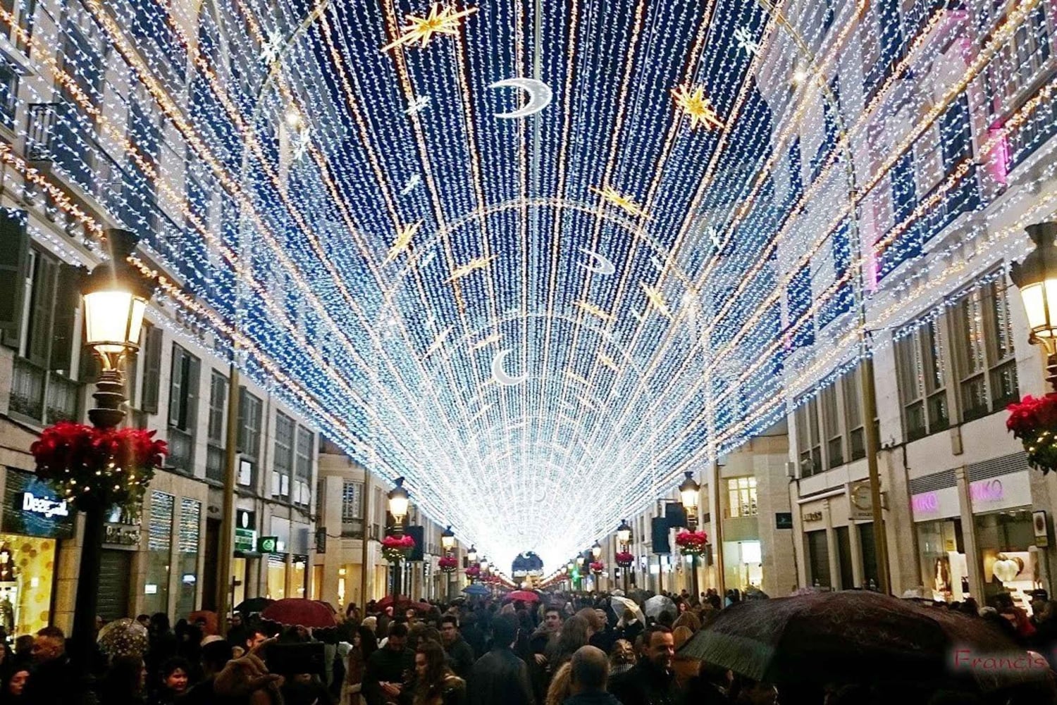 Grand Tour: Le migliori attrazioni di Malaga e i suoi dintorni