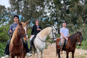 Guided horseback tour through the Guadalhorce Valley