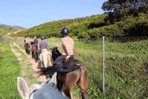 Guided horseback tour through the Guadalhorce Valley
