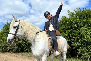 Guided horseback tour through the Guadalhorce Valley