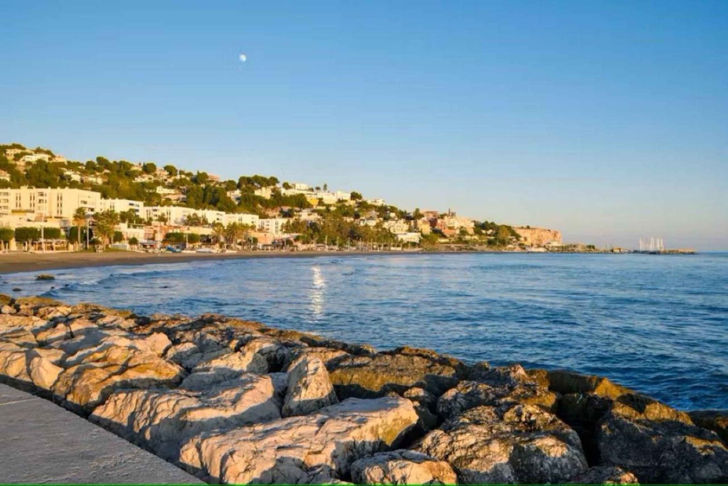 Guided tour of Malaga fishing scene with cooking workshop