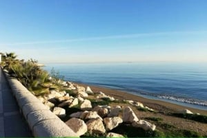 Tour guiado por el barrio pesquero de Málaga con taller de cocina