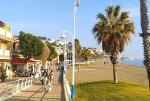 Guided tour of Malaga fishing scene with cooking workshop