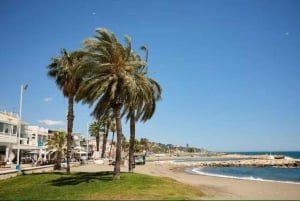 Guided tour of Malaga fishing scene with cooking workshop