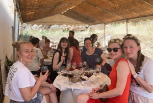 Guided vineyard&cellar tour + 5 wine tasting with tapas